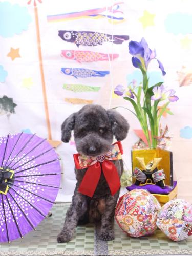 20240504ディロンくん